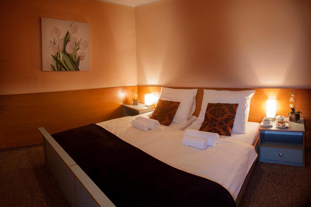 Hotel Wyzsza Brama Centrum Cieszyn  Værelse billede